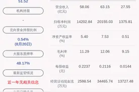 华昌化工：2020年半年度净利润约1376万元，同比下降92.98%图片