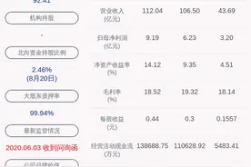 隆鑫通用：2020年半年度净利润约3.20亿元图片