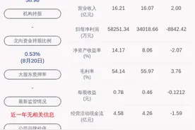 黄山旅游：2020年半年度净利润约-8842万元，同比下降152.60%图片