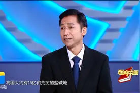 ​理响中国｜海水稻突破耕地约束 保障国家粮食安全 缓解全球粮食危机图片