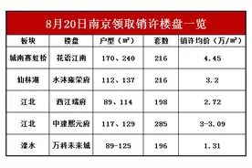 预热“金九银十”？南京8月楼市“翘尾”，10盘集中申领销许图片