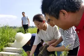常德22岁女大学生的田间稻渔梦图片