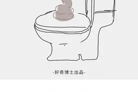 拉屎玩手机，危害居然这么大？图片