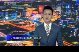 江苏亭湖接轨上海 吸引高科技产业投资200多亿视频封面