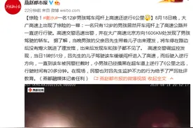 惊险！衡水一名12岁男孩驾车闯杆上高速还逆行6公里图片