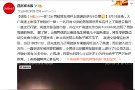 惊险！衡水一名12岁男孩驾车闯杆上高速还逆行6公里图片