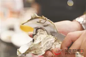 开渔季蚝起来图片