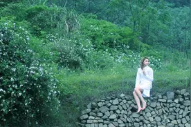 听风吹过湖面的声音图片