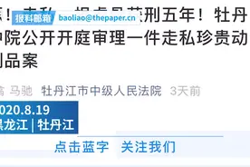 农民工出国务工拾虎骨带回国内获刑5年，经鉴定价值20万元图片