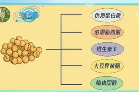 营养丰富的豆制品经常轮换吃，但是这种情况不建议吃……图片
