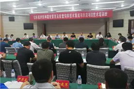 德州肉驴产业稳步做大做强，发展养殖场户100余家图片