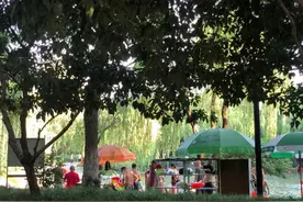 爱生活爱杭州，闹市“小池塘”来了爱唱《涛声依旧》的泳友，每天唱歌后再下水图片