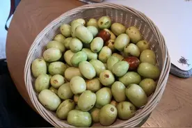 湖湘自然笔记·我们的24节气物候记丨立秋图片