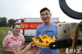 贫瘠土地长出“贵族南瓜”，一年亩纯收入6000元图片