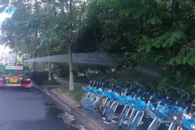 谢谢你们！用汗水浇灌杭州美丽园林景观图片