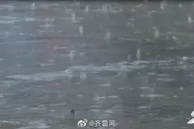 聊城局地降下大雨 半岛、鲁西北、鲁中有中到大雨局部暴雨+雷电图片