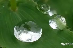 秋雨淅淅，情思绵绵图片