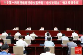 中央第十四巡视组向中央宣传部（中央文明办）反馈巡视情况图片
