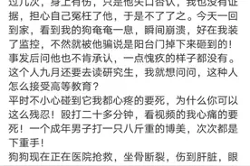 福州大学回应“准研究生疑似虐狗”：已关注，正核实涉事人身份图片