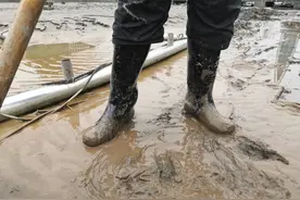 云求助｜四川乐山市犍为县受暴雨洪灾损失惨重 清淤重建工作急需雨靴图片