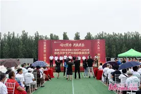 企业+合作社+农户 阳春三月乳业乡村振兴新探索图片