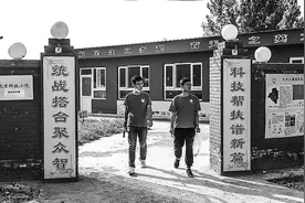 北京大兴区长子营镇小黑垡村林间种下“聚宝盆”，低收入户全摘帽图片