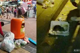 香港禁止堂食后 街道垃圾太多老鼠频繁出没图片