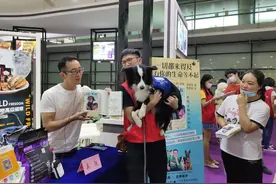 一场“人狗情未了”的治愈之旅——《再见，贝拉》破圈亮相亚宠展图片