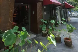 红烧肉是离幸福感最近的一块肉？观察君带你尝作家最爱“同款美食”图片