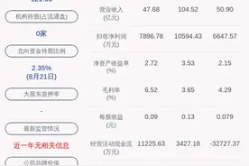 有研新材：上半年净利润约6648万元，同比增加65.03%图片