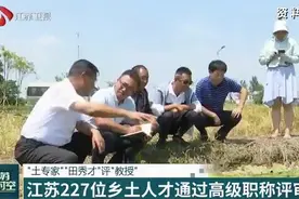 “土专家”也能评“教授”，江苏227位乡土人才通过高级职称评审视频封面