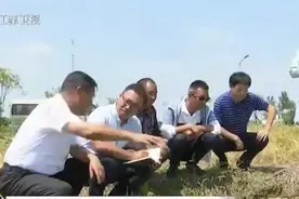 “土专家”也能评“教授”，江苏227位乡土人才通过高级职称评审视频封面