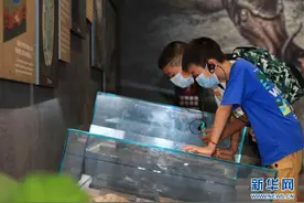 湖南张家界：地质科普游 欢乐度暑期图片