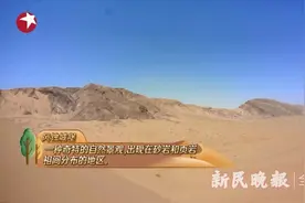 巴楚白沙山沙漠公园：极限挑战明星们的打卡地图片
