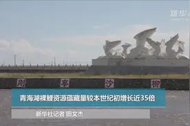 “大湖归来”见证青藏高原生态改善图片