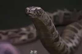 哈利·波特的魔法背后的物理原理图片