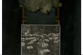 上海相册｜⑫嘉年华图片