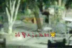 杭州大爷村口拍到“大老虎”公安全副武装赴现场图片