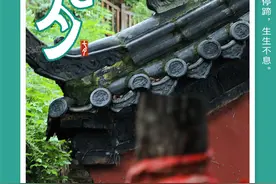 麦田里的七夕：花间一壶酒，佳期又一年图片