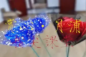 七夕节，月浦小姐姐送你一朵DIY的缎带玫瑰花图片