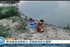 悲剧敲响安全警钟！废弃池塘内独自游泳，男子不幸溺水身亡