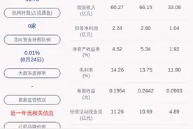成绩单！通宝能源：2020年半年度净利润约1.04亿元，同比下降39.32%图片