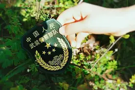 留言板丨橄榄绿，爱你在心口难开图片