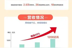 蚂蚁发布招股说明书，去年收入1206亿，上市后要做这三件事图片