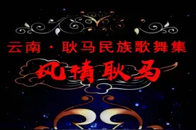 跨越千里来相会，云南·耿马民族歌舞演出在崇开演图片