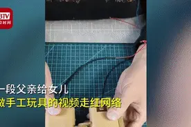 爸爸能多宠女儿？看完这100多件手工玩具，网友酸了图片