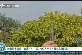 种盆景也能评“教授”？没错！江苏227位乡土人才晋升高级职称视频封面