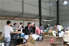 云南河口：打开电商新通道 农产品销量“跑”出加速度图片
