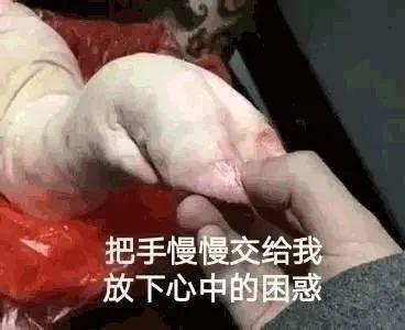 什么花胶胶原蛋白最多 2026年什么花胶胶原蛋白最多效果好