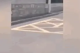 画面残忍！警方通报男子骑摩托拖行小狗，微博5连发直播“追凶”图片
